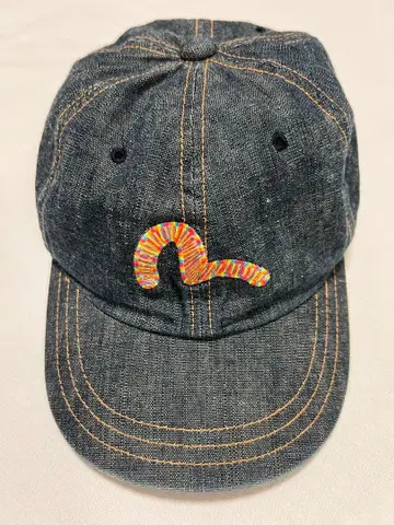 EVISU 데님 캡 레인보우 자수 갈매기 천상천하유아독존 자수