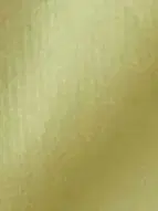 디즈니 플루토 팬캡