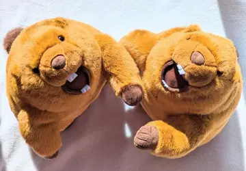 마모트 음성 봉제 인형 2개