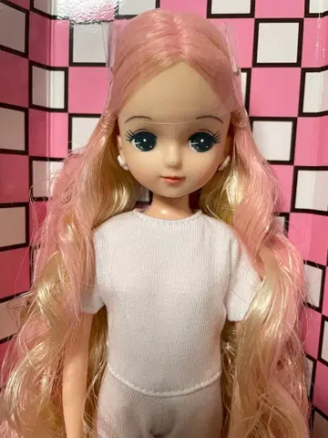 리카짱 캐슬 2022년 일본바시 BASIC 키라짱 V2 12796B