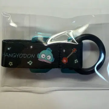 하피단부이 x Zepp 카라비너 한교동