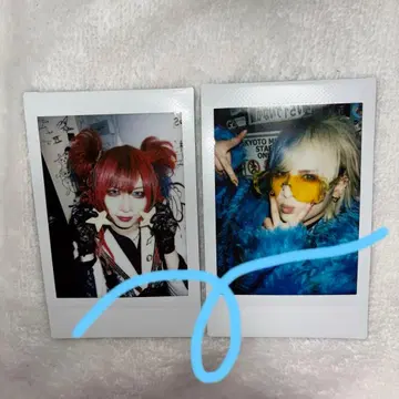 Royz 스바루 코다이 폴라로이드