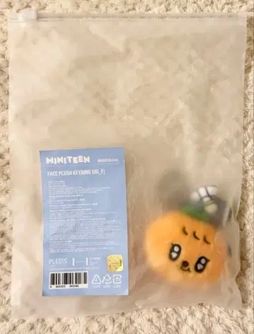 승관 seventeen 플러시 키링 부귤이 미니틴