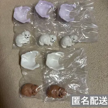 따끈따끈 강아지 가챠가챠