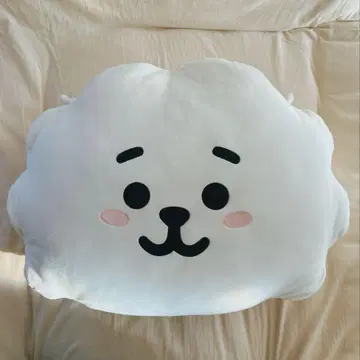 BT21 RJ 빅 페이스 쿠션
