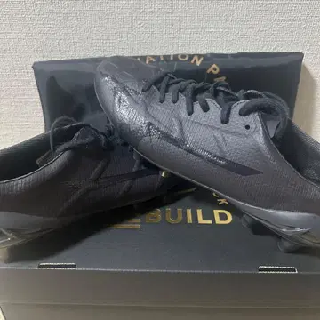 MIZUNO a II JAPAN Ltd 24.5cm