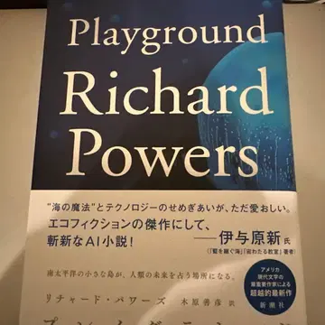 플레이그라운드 리차드 파워즈