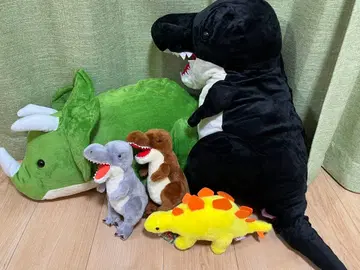 공룡 시대 봉제 인형 5세트