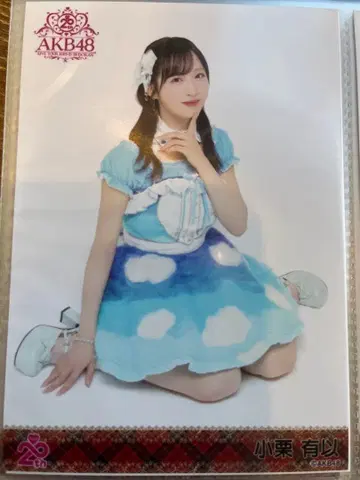 AKB48 오구리 유이 무도관 동경의 의상 브로마이드 츄