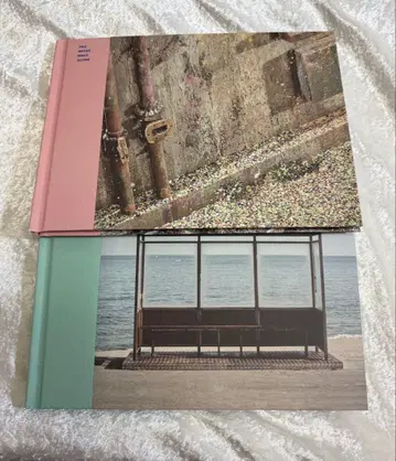 BTS / 앨범 you never walk alone 2형태