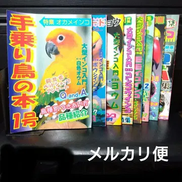 손에 올리는 새 도서 1~8호 8권 세트 반려동물 신문사