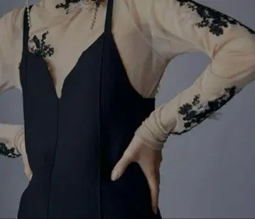 Ameri UND FUR EMBROIDERY SKIN TOP