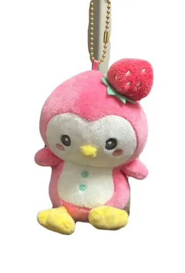 대폭 할인 가능! 당일 발송 [JO1] JOCHUM 뽀뽀