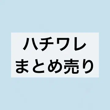 치이카와 (먼작귀) 하치와레 봉제 인형 키링 카드