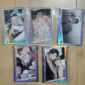 drap 25주년 기념전 오로라 카드