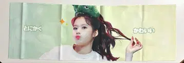 TWICE 사나 슬로우건 반사 마스터