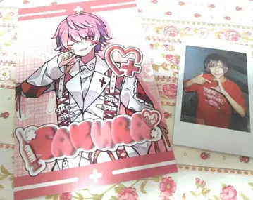 러브시크 사쿠라 1주년 기념 라이브 폴라로이드 엽서 세트