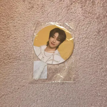 SEVENTEEN FOLLOWAGAIN THE8 명호 민하오 부채