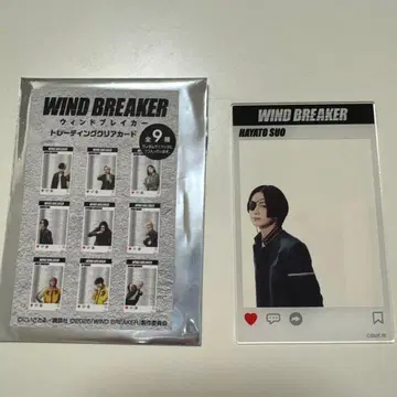 영화 WIND BREAKER 윈브레 츠나 케이토