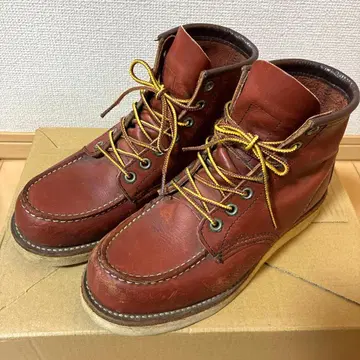 레드윙 아이리쉬 세터 8875