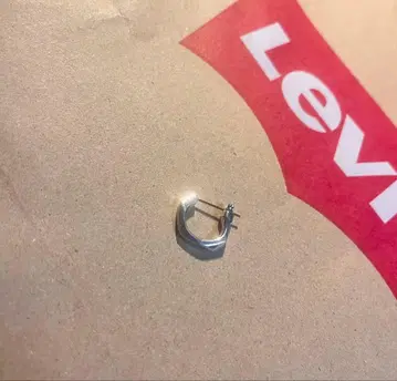 Lion Heart 925 크로싱 귀걸이 D