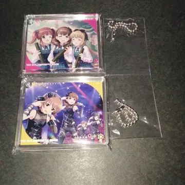 사쿠마 마유 요다 요시노 오가타 치에리 애니메이트 카페 콜로타