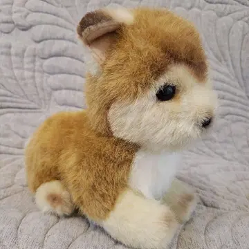 봉제 인형의 삼영 강아지 봉제 인형