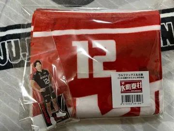 미즈마치 타이토 선수 아크릴 스탠드 타월