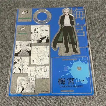 WIND BREAKER 우메미야 잇세이 자이언트 콘 아크릴 스탠드 윈브레