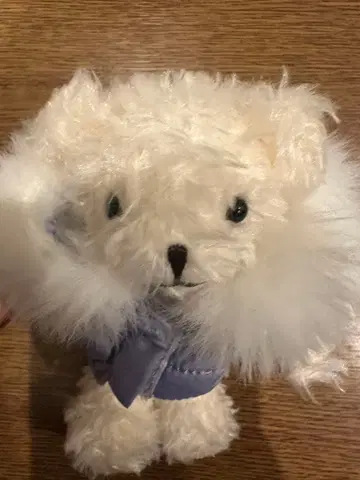 타리즈 홀리데이 다운 자켓 베어풀 프티