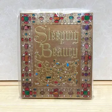 굿즈 디즈니 스토어 디즈니 스토어 잠자는 숲속의 공주 프린세스 노트