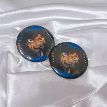 귀멸의 칼날 무한성편 이야기가 담긴 눈빛 컬렉션 캔뱃지 A 토미오카 기유