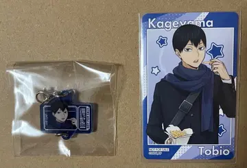 하이큐 코스모 월드 이어지는 아크릴 참 컬렉션 카드 카게야마 토비오