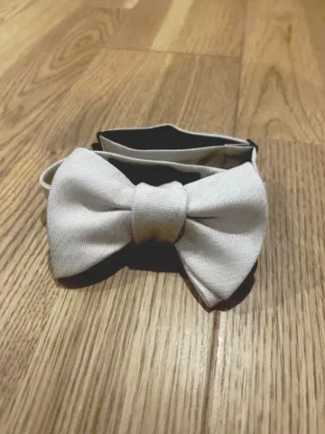 MIRROR MIRROR 나비 넥타이 실크 타이