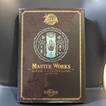 젤다의 전설 티어스 오브 더 킹덤 마스터 웍스