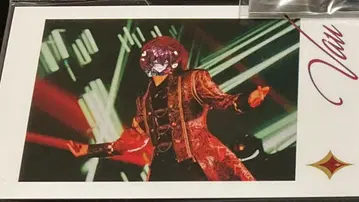 바우군 포토 카드 기사X KnightX