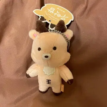 RIIZE 성찬 10cm 봉제 인형 인형 키링 키링