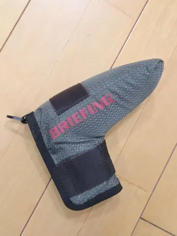 BRIEFING 그레이 PT 핑