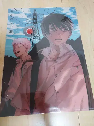 빛이 죽은 여름 클리어 포스터