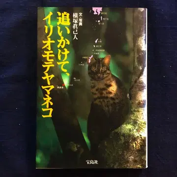 [ 절판 레어 ] 쫓아서, 이리오모테 야마네코 요코즈카 마사히토