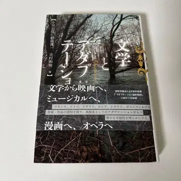 문학과 각색 유럽의 문화적 변용