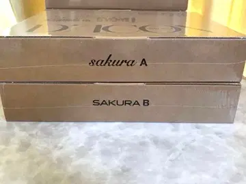 lesserafim 사쿠라 Dicon A.B 세트