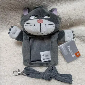 패스 케이스 카드 홀더 홍콩 디즈니랜드 해외 신데렐라 루시퍼