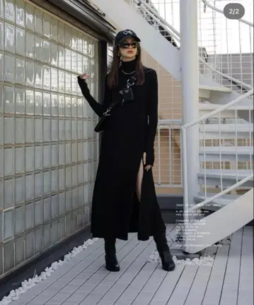 aclent 2way zip high neck dress