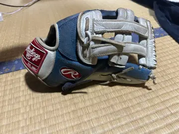 Rawlings 그로브 경식