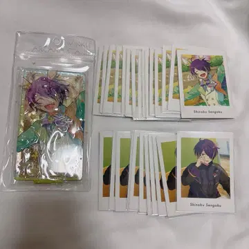 앙스타 아르카나 스탠드 파샤츠 센고쿠 시노부