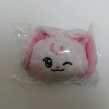 NCT DREAM 팝업 인형 배지 제민