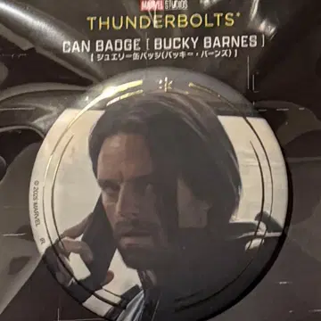 코믹콘 세바스찬 스탠 버키 주얼리 캔뱃지