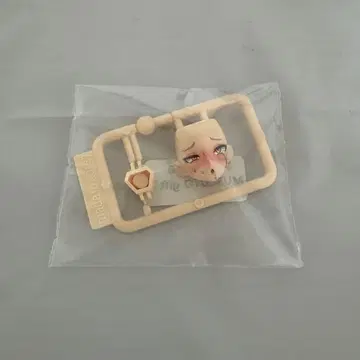 메가미 디바이스 Muscuto 분노이치 입장 혜택 페이스 부품