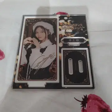 이노우에 와카노기 box 아크릴 스탠드 레어 블랙노기 산타